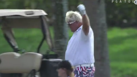 Watch: Daly gets hole-in-one on Champions Tour